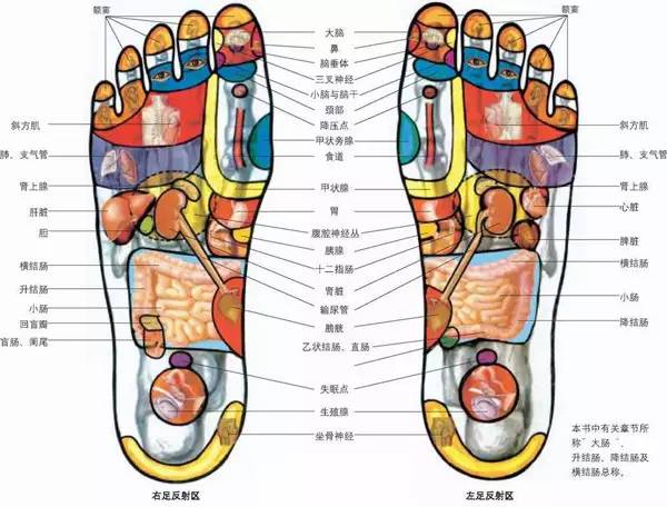 健康缘来很简单|人体全息图，哪里不适按哪里（留着备用）