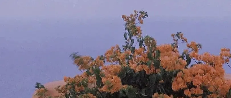 种在海底的星河|我累了，在这段不平等的关系中