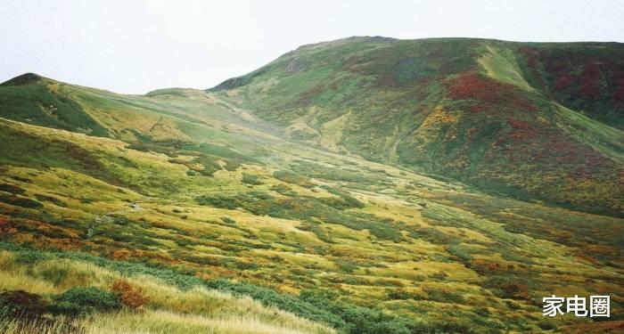 |2022年家电市场的进攻主航道