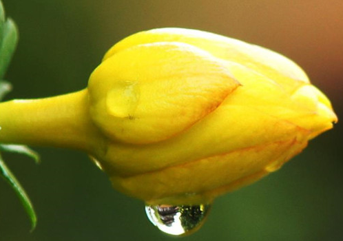 |哪些月份出生的人,从小就是硬脾气,不受他人欺负,事业靠自己