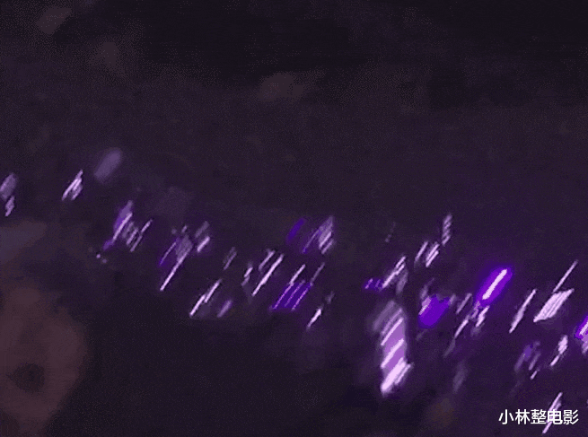 杨紫|杨紫和张艺兴真有猫腻？