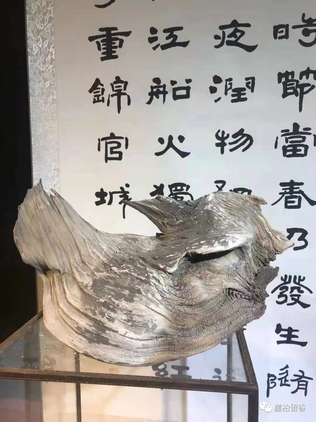 |为何你买崖柏总上当呢？