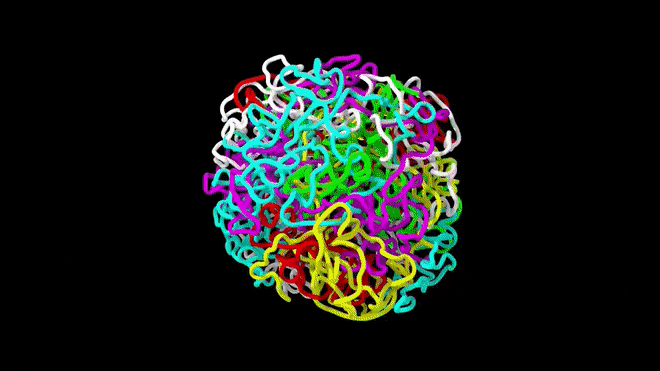 打架确定繁衍方式的神奇物种,见面先打架,然后确定如何繁衍