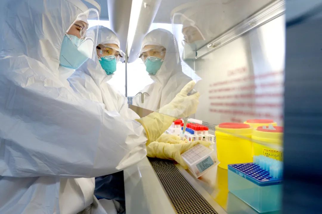 老虎 核酸检测结果是怎么来的？