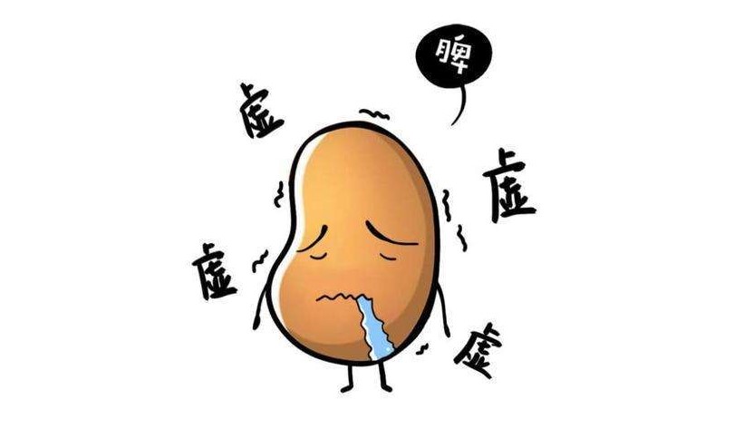 显示器|怎么吃都不胖？别高兴，胃强脾虚，名医名方，改善脾虚，压胃火