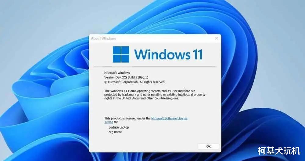 微软|微软宣布Windows 10系统生命的终结日