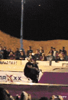 |“钓鱼被咬了，不过钓到了一条招财龙鱼，不亏...”哇哈哈哈，评论沸腾了～