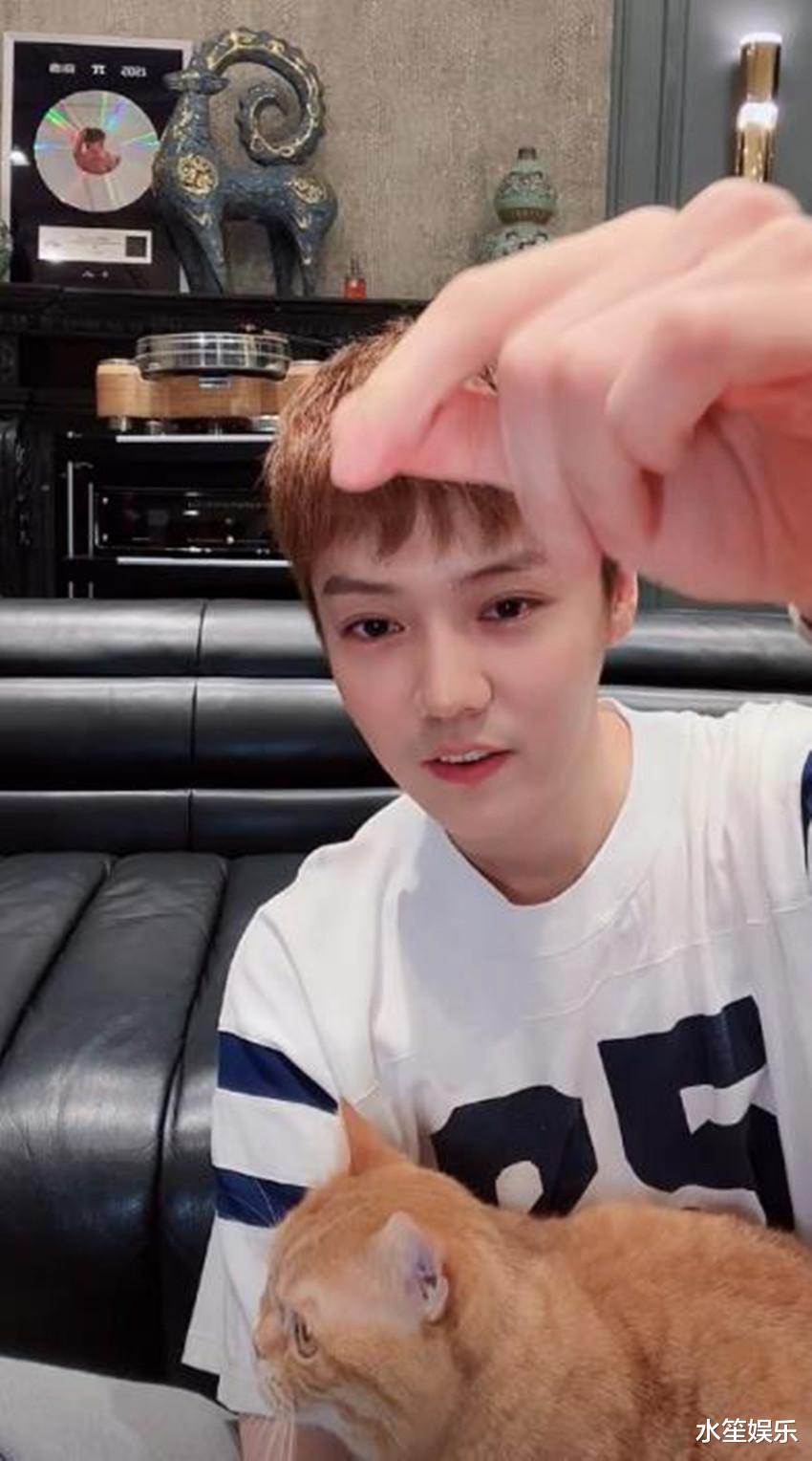 鹿晗|鹿晗素颜突降直播间，透露近况，笑言自己胖了