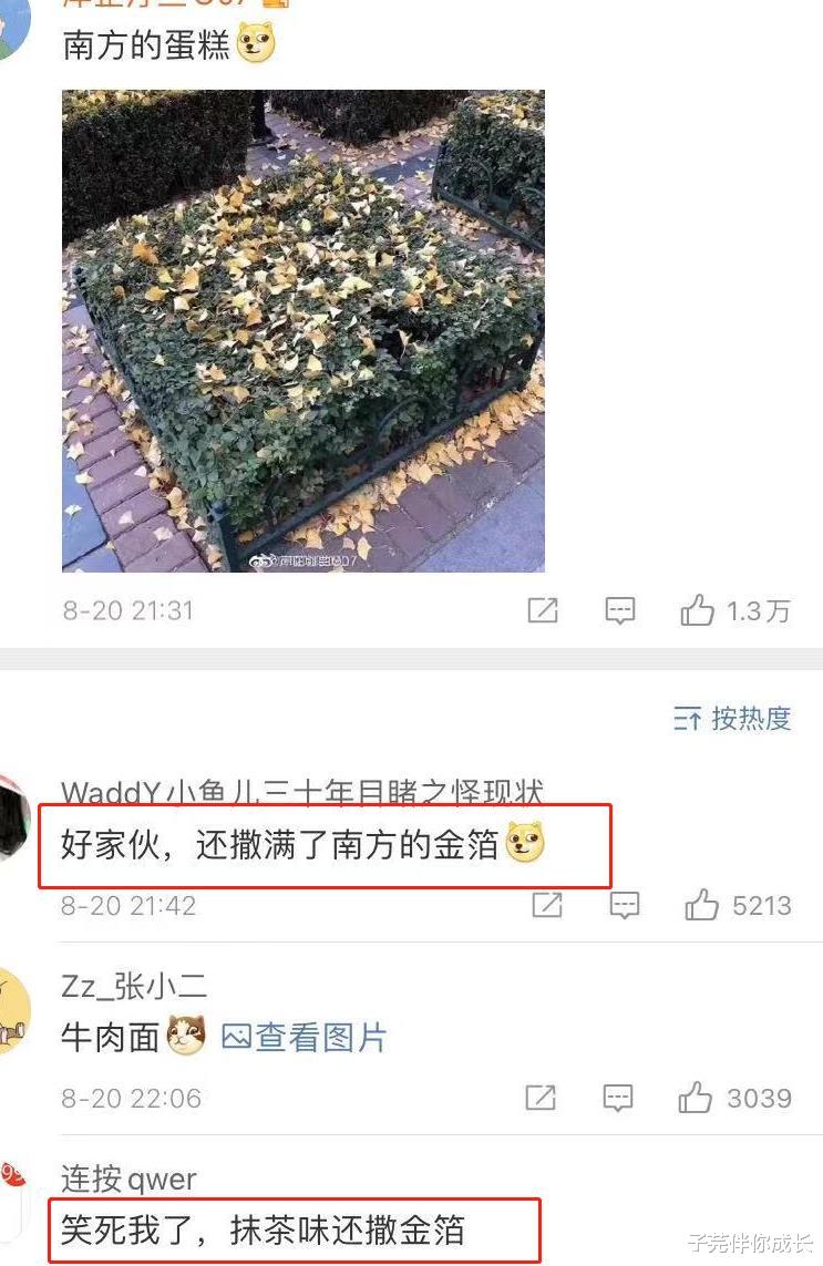 子芫伴你成长|南方VS北方,南北差异有多大?看到第8张图笑得肚疼,网友太有才