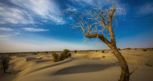 北极 地球上还有没被人类发现的地方吗?