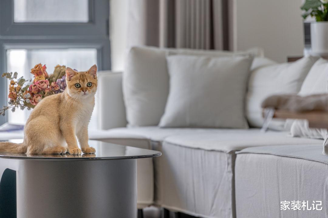 设计师|两人一猫的96㎡，户型虽烂但装修真心不错，面积不大却格外舒适