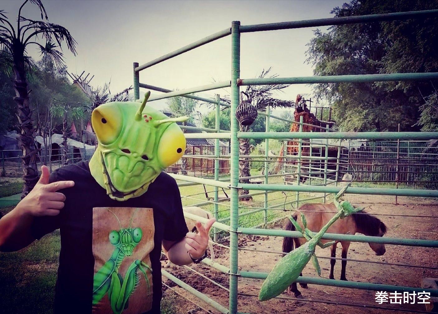 李景亮|李景亮遭正式警告！专家：限你三个月，要么进入世界前十要么退役