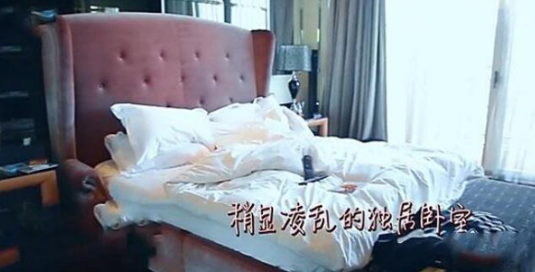 二氧化碳|巫启贤晒出自己的豪宅，两个女儿房间装修各异，有点太偏心了吧？