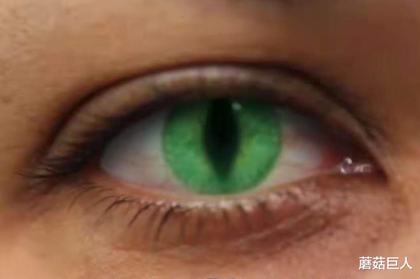 外星人 邪恶帝国的诞生，昴宿星人留下的恶果，天空之眼无法漠视