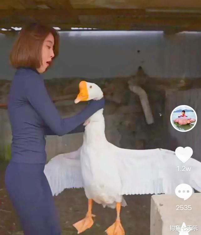 |邓刚“盘老板”新作问世，美女徒弟坐镇钓场！钓友：看后真没心思钓鱼了