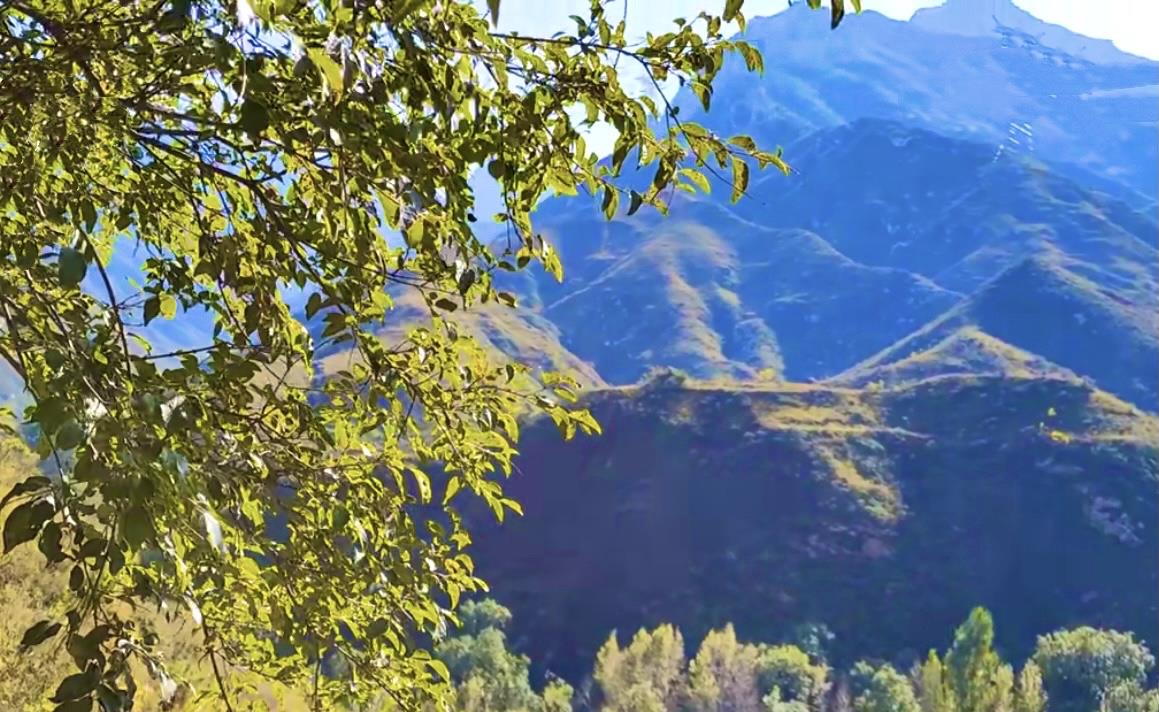 长脖子爸比说|20岁尼姑在台外的大山洞里苦修,一住就是50年