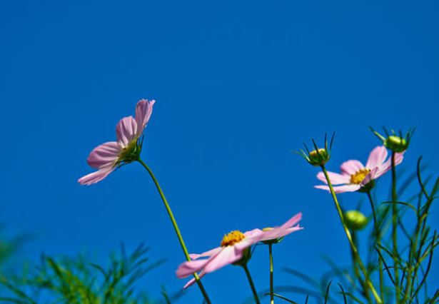 美团|退休后,参加老同学、老同事聚会,很忌讳这5件事