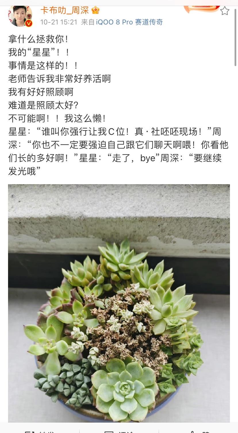 周深|周深发博上演“小剧本”，多肉被自己养呸呸了，深言深语好可爱！