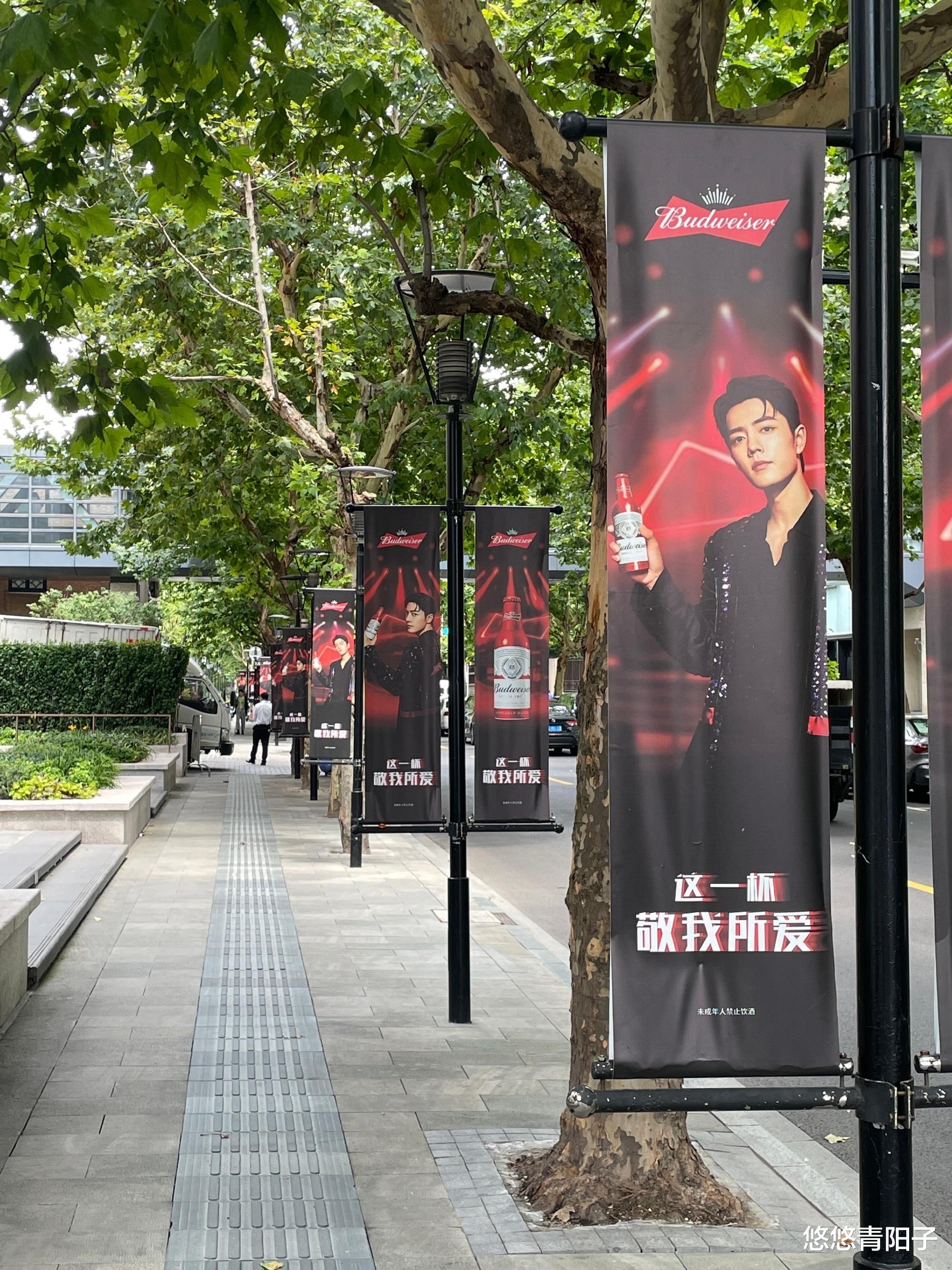 肖战|承包一条街的街旗，一眼望不到边，随处可见的肖战，被实力宠爱！