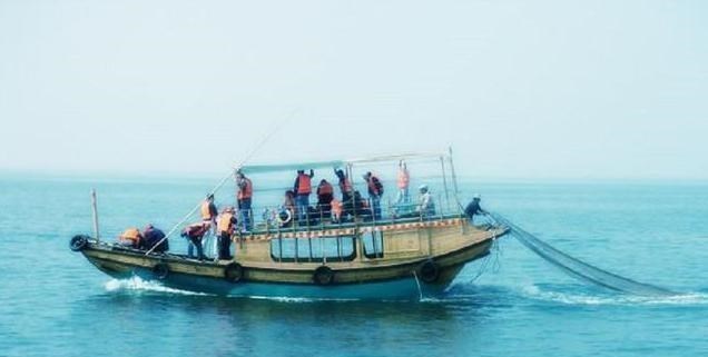 长江 “长江之痛”，鲥鱼销声匿迹30年，如今真的被判“死刑”了？