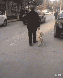 陈飞俊|“做亲子鉴定发现儿子不是自己的...”哈哈哈哈哈哈老哥现场反应厉害了