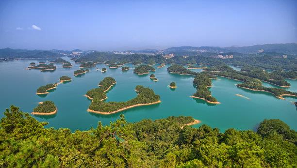 科学家 浙江有的稀有树木，全国一株，科学家用克隆技术拯救