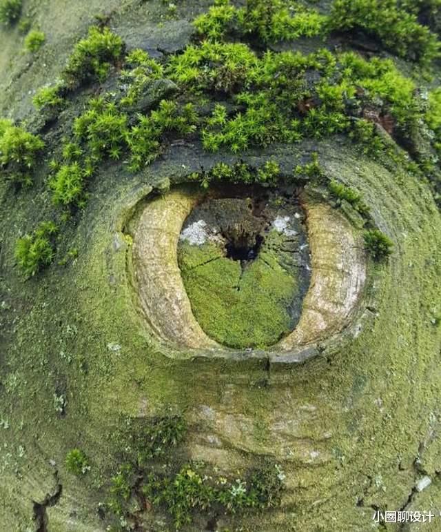 22张证明地球永远超乎想象的惊奇照片,太不可思议了