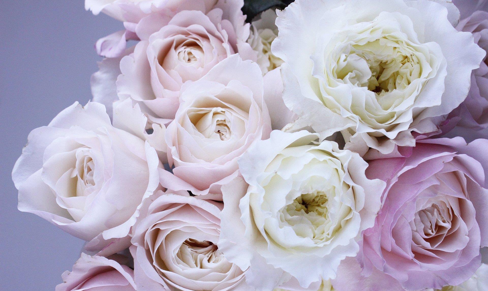 青春不等人|人活一辈子,图什么呢?