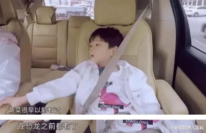 小婷妈妈育儿百科|嗯哼4岁懂飞机起飞原理！用百科书“喂大”的孩子，能有多优秀？