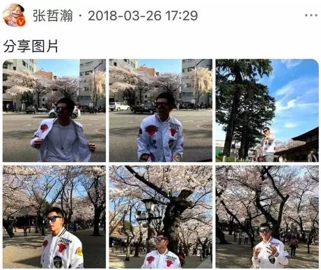 张哲瀚|张哲瀚活该被封杀，但他这剧可以不下架吗？