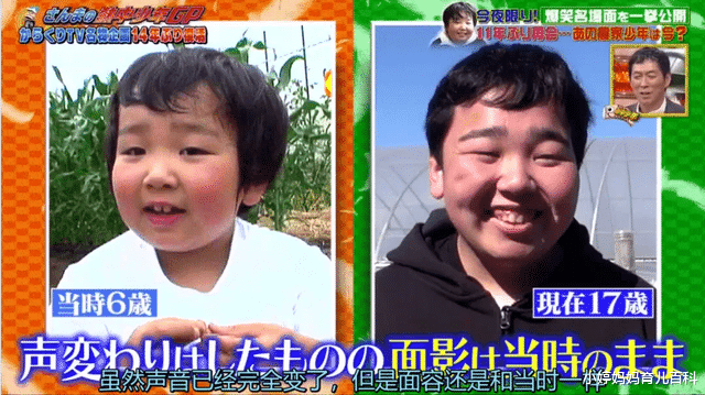 小婷妈妈育儿百科 6岁日本男孩梦想当农民，11年后现状曝光，给所有父母上了一课