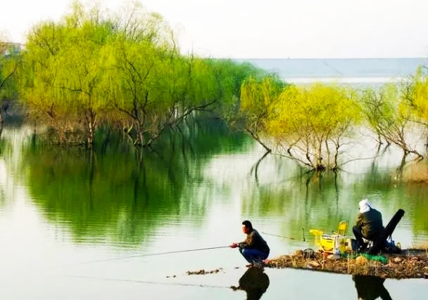 |天变凉，很多钓友开始用轻饵垂钓鲫鱼，这时调钓需要注意什么？