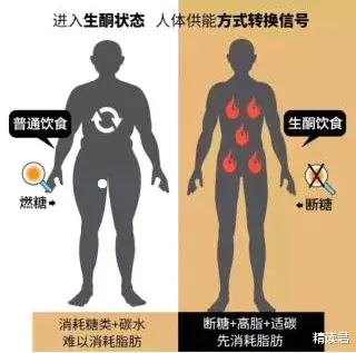 智商税 “戒掉碳水3个月，我差点没扛住”：减肥路上，你还要交多少“智商税”？