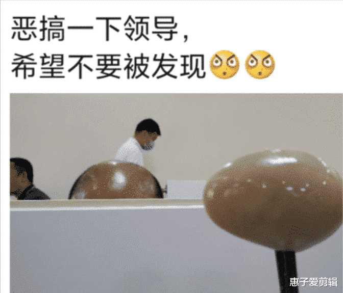 秃顶|神回复：不知道为什么，很多领导都是秃顶的状态，坐在人群中非常显眼