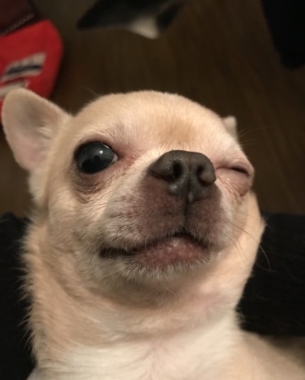 网络安全|新手做虾皮，出单很难吗？应该如何出单？