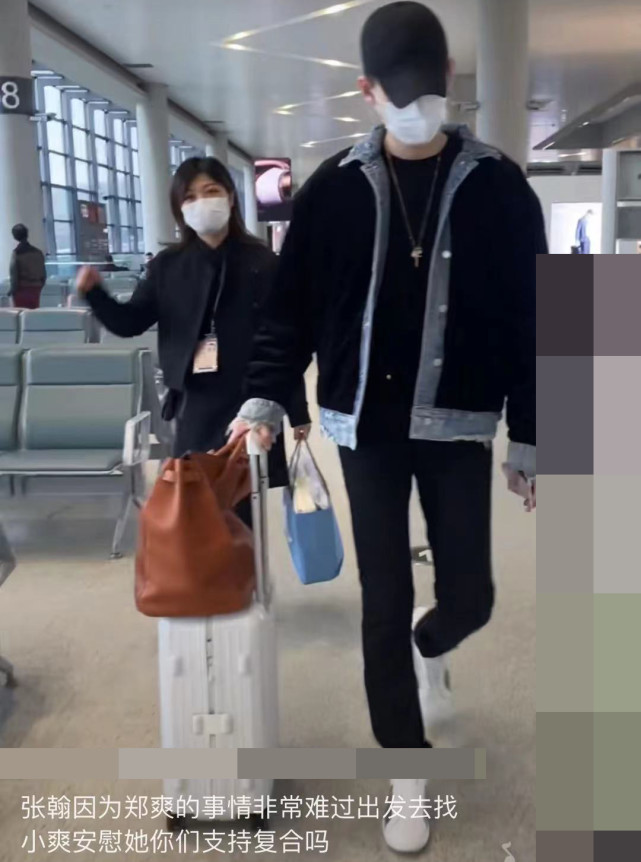 郑爽|曝张翰郑爽疑复合，男方已去美国安慰？评论区炸锅，事实并非如此