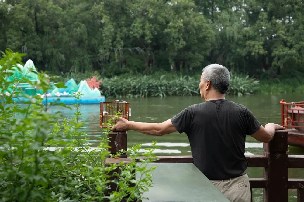 一马平天下 南京的大爷大妈，文武双全！