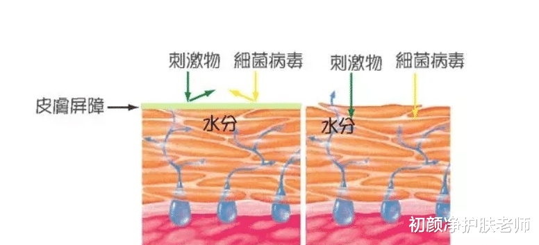 豆干 女生想要养出好皮肤真的不难，了解“皮肤需要什么”才是关键~