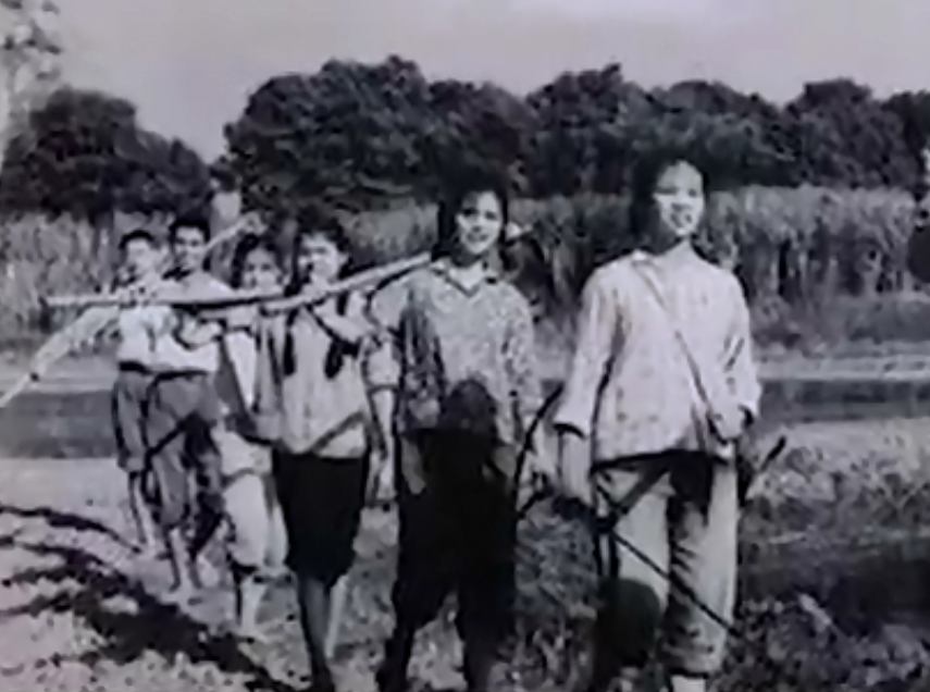 社情汇编 持枪在苏、湘、渝三省市作案，枪杀多人，警方出动4万人进行围剿