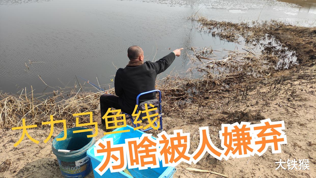 扎心|大力马既柔软又结实，为啥钓鱼人弃之不用呢？真相扎心了老铁