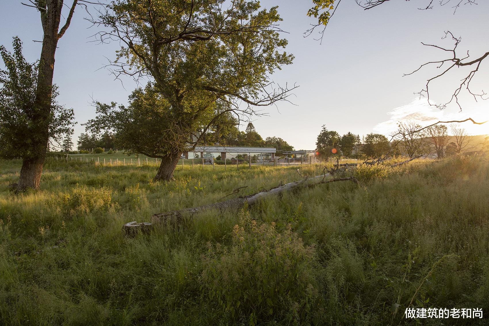 375㎡的覆土别墅：完美融入场地，与景观融为一体