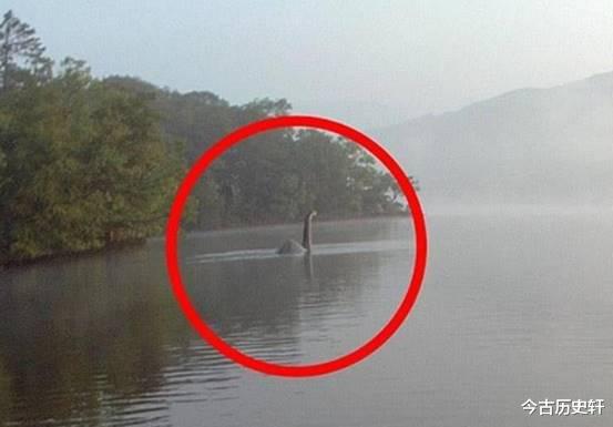 喀纳斯湖 喀纳斯湖有不明生物出没，媒体拍下长15米重32吨，它真的是水怪吗