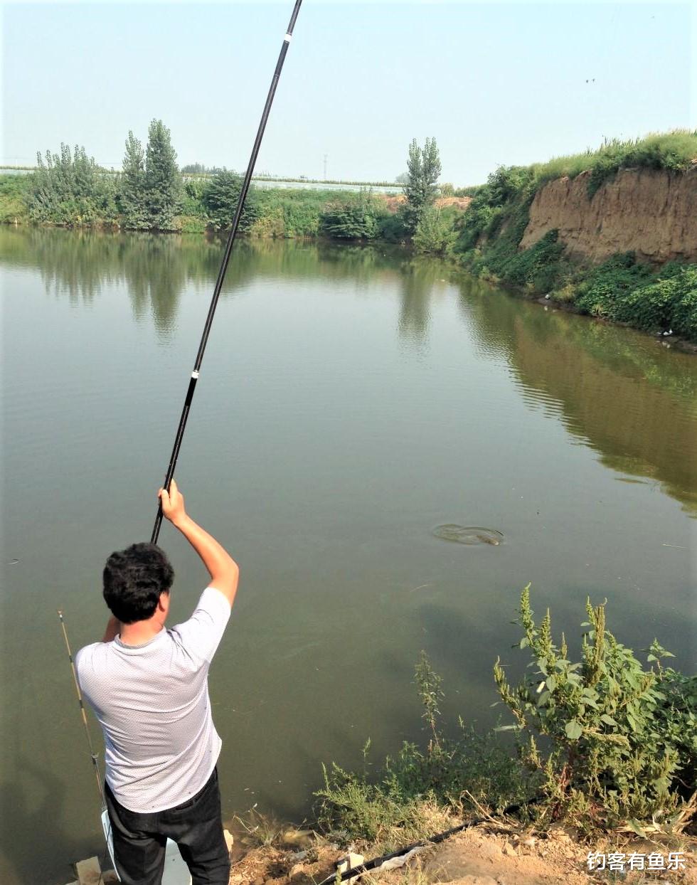 饵料|夏天钓草鱼，掌握简单几点，新手一样连竿
