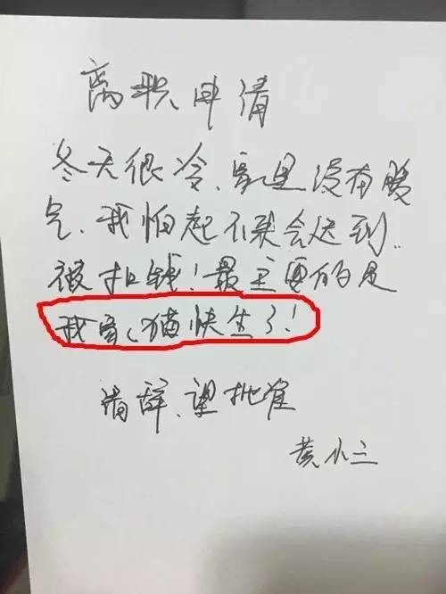 信阳|让人哭笑不得的辞职理由，老板娘长得像前女友，我无法安心工作