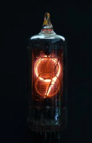 白蚁 长在白蚁窝里的菌类，价格超过黄金，为什么挖到的人就是不肯卖？