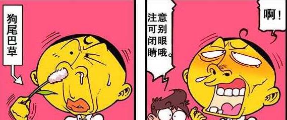 曦有范儿 奋豆课堂挖鼻孔“心痒难揉”，星太奇“疯狂打喷嚏”如雷贯耳