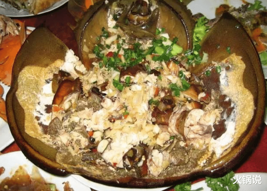 科学家 鲎活了4亿年，血液救了无数人，如今却被端上餐桌，生存状况堪忧