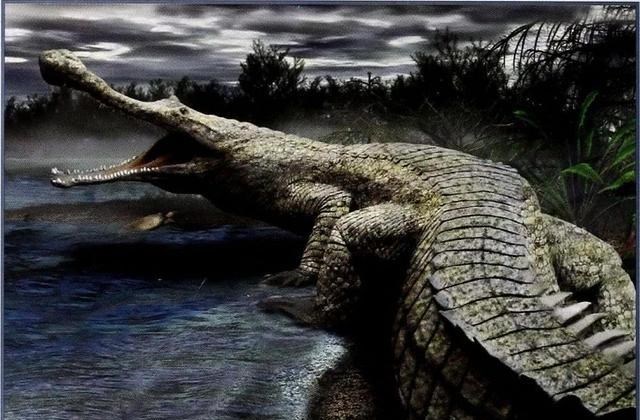 鳄鱼 鳄鱼家族有多倒霉？努力两亿年，每次都在要称霸时被地球“针对”