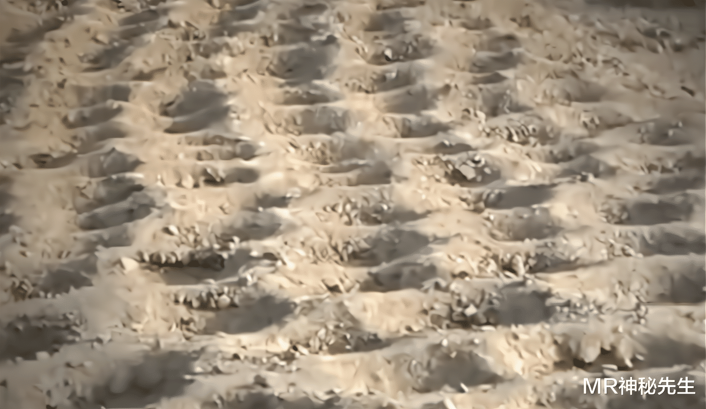 MR神秘先生|科学家在秘鲁发现数千洞穴带，排布均匀有规律，疑似外星机械所为