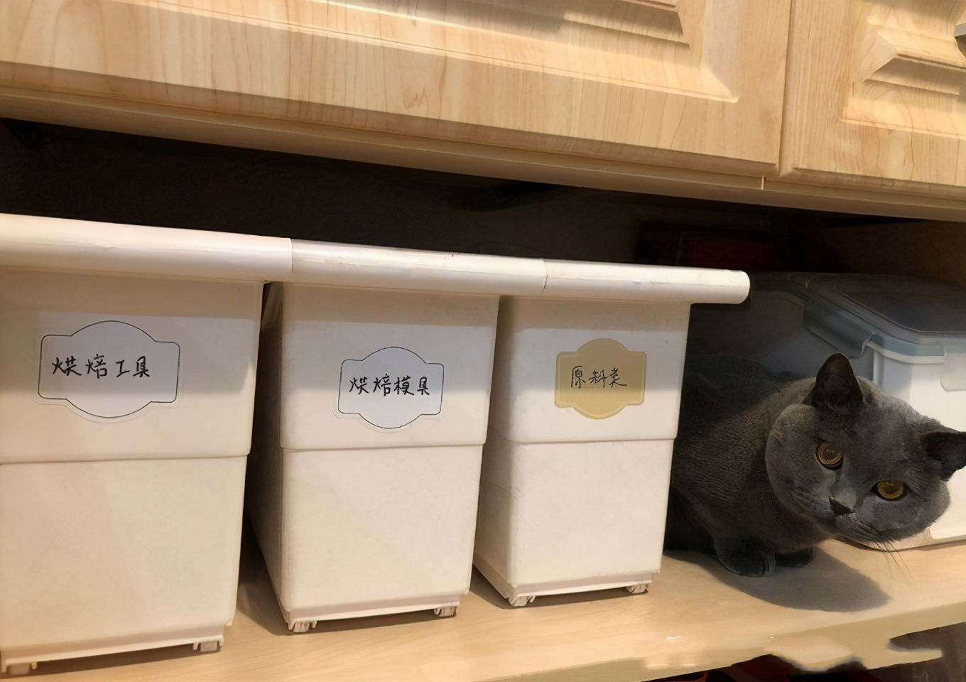 收纳原来如此简单！这20件家居收纳好物帮你搞定全屋收纳！